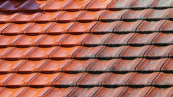 Traitement anti-mousse toiture façade dallage Lyon Villeurbanne Saint-Genis-Laval rénovation Rhône (69)